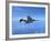 Air and Space: McDonnell Douglas F-4 Phantom II-null-Framed Photographic Print