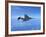 Air and Space: McDonnell Douglas F-4 Phantom II-null-Framed Photographic Print