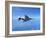 Air and Space: McDonnell Douglas F-4 Phantom II-null-Framed Photographic Print