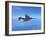 Air and Space: McDonnell Douglas F-4 Phantom II-null-Framed Photographic Print