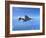 Air and Space: McDonnell Douglas F-4 Phantom II-null-Framed Photographic Print