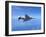 Air and Space: McDonnell Douglas F-4 Phantom II-null-Framed Photographic Print