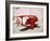 Air and Space: Pitts Special S-1C Little Stinker-null-Framed Photographic Print