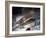 Air and Space: Vin Fiz-null-Framed Premium Photographic Print