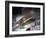 Air and Space: Vin Fiz-null-Framed Premium Photographic Print