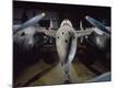 Premium Photographic Print