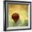 Air Balloon Ride-Gail Peck-Framed Art Print