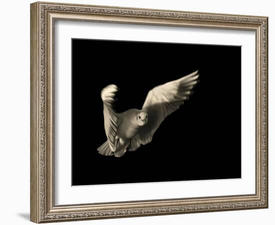 Air Breaking-Anthonyroberts-Framed Photographic Print