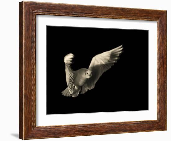 Air Breaking-Anthonyroberts-Framed Photographic Print