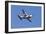 Air Show V-Lee Peterson-Framed Photographic Print