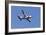 Air Show V-Lee Peterson-Framed Photographic Print