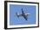 Air Show VI-Lee Peterson-Framed Photographic Print