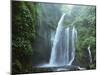 Air Terjun Tiu Kelep Waterfall, Senaru, Lombok, Indonesia, Southeast Asia, Asia-Jochen Schlenker-Mounted Photographic Print