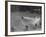 Air Training Corps, the Spitfires Catch Up with the Hun Again, Throw Him Off His Course-David Scherman-Framed Photographic Print