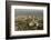 Air View of Downtown Adelaide, South Australia, Australia, Pacific-Tony Waltham-Framed Photographic Print