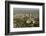 Air View of Downtown Adelaide, South Australia, Australia, Pacific-Tony Waltham-Framed Photographic Print