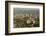 Air View of Downtown Adelaide, South Australia, Australia, Pacific-Tony Waltham-Framed Photographic Print