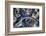 Air View of the Calatrava Bridge.-Stefano Amantini-Framed Photographic Print