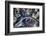 Air View of the Calatrava Bridge.-Stefano Amantini-Framed Photographic Print