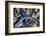 Air View of the Calatrava Bridge.-Stefano Amantini-Framed Photographic Print