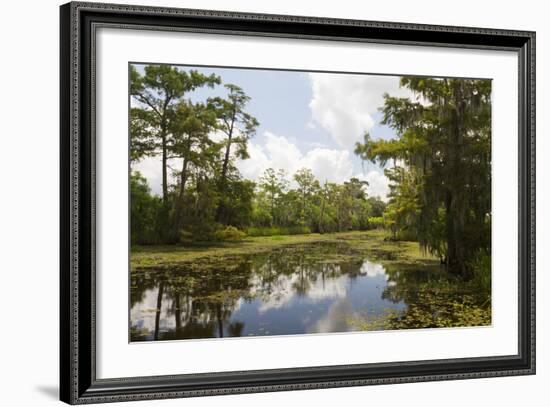 Airboat Swamp Tour, Lafitte, Louisiana-Jamie & Judy Wild-Framed Photographic Print