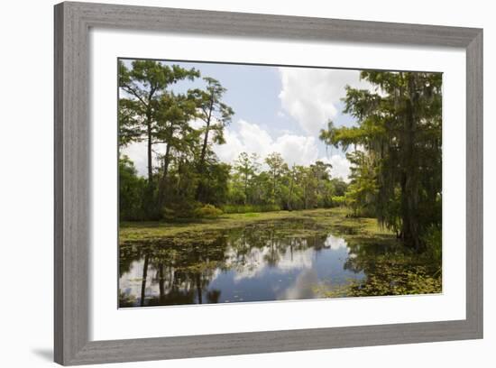 Airboat Swamp Tour, Lafitte, Louisiana-Jamie & Judy Wild-Framed Photographic Print