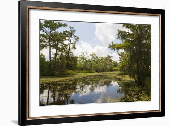 Airboat Swamp Tour, Lafitte, Louisiana-Jamie & Judy Wild-Framed Photographic Print