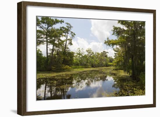 Airboat Swamp Tour, Lafitte, Louisiana-Jamie & Judy Wild-Framed Photographic Print