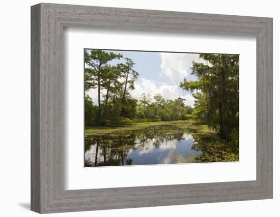 Airboat Swamp Tour, Lafitte, Louisiana-Jamie & Judy Wild-Framed Photographic Print