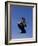 Airborne Martial Artist-null-Framed Photographic Print