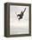 Airborne Snowboarder-null-Framed Premier Image Canvas