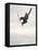 Airborne Snowboarder-null-Framed Premier Image Canvas