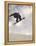 Airborne Snowboarder-null-Framed Premier Image Canvas