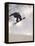 Airborne Snowboarder-null-Framed Premier Image Canvas