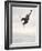 Airborne Snowboarder-null-Framed Photographic Print