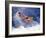 Airborne Surfer-null-Framed Photographic Print