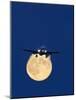 Airbus 330 Passing In Front of the Moon-David Nunuk-Mounted Photographic Print