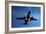 Airbus A320 Airliner Landing At Night-Detlev Van Ravenswaay-Framed Photographic Print