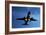 Airbus A320 Airliner Landing At Night-Detlev Van Ravenswaay-Framed Photographic Print