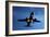 Airbus A320 Airliner Landing At Night-Detlev Van Ravenswaay-Framed Photographic Print