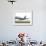 Airbus A380, the World's Largest Passenger Plane, Takes Off Successfully on its Maiden Flight-null-Framed Photographic Print displayed on a wall