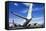 Airbus A380-Mark Williamson-Framed Premier Image Canvas