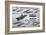 Aircraft Carrier Evolution-null-Framed Art Print