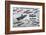 Aircraft Carrier Evolution-null-Framed Art Print