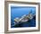 Aircraft Carrier in Calm Water-Stocktrek Images-Framed Photographic Print