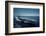 Aircraft Carrier USS Constellation at Sea-null-Framed Photographic Print