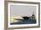 Aircraft Carrier USS Harry S. Truman Passes Underneath the Suez Canal Bridge, 2010-null-Framed Photo