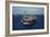 Aircraft Carrier USS Ronald Reagan Leads Allied Ships on Pacific Ocean, July 2010-null-Framed Photo