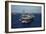 Aircraft Carrier USS Ronald Reagan Leads Allied Ships on Pacific Ocean, July 2010-null-Framed Photo