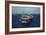 Aircraft Carrier USS Ronald Reagan Leads Allied Ships on Pacific Ocean, July 2010-null-Framed Photo